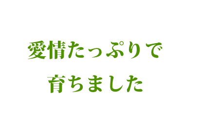 愛情たっぷりで育ちました