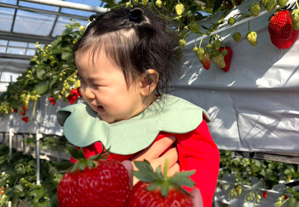いちごを見て喜ぶ女の子
