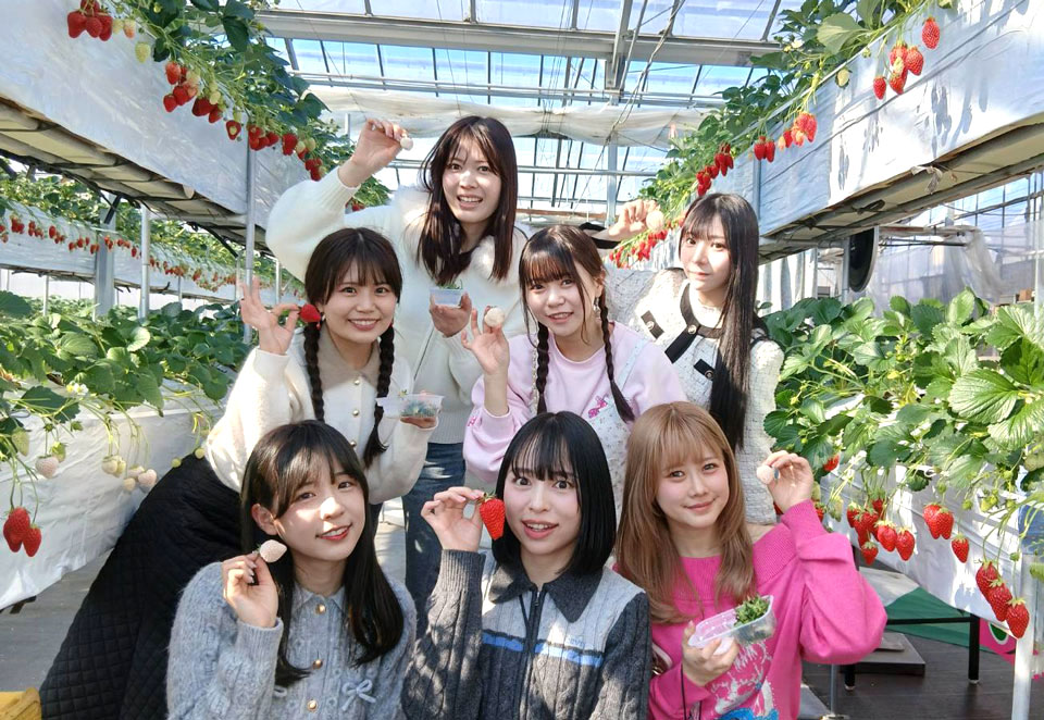いちご狩りを楽しむ女性達