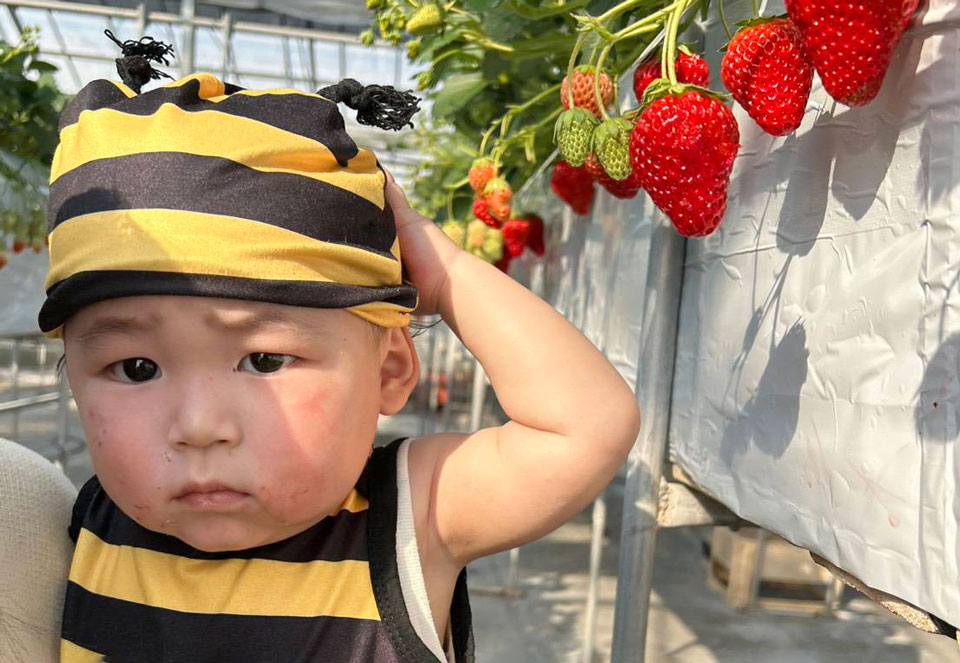 ハチの洋服がかわいい男の子